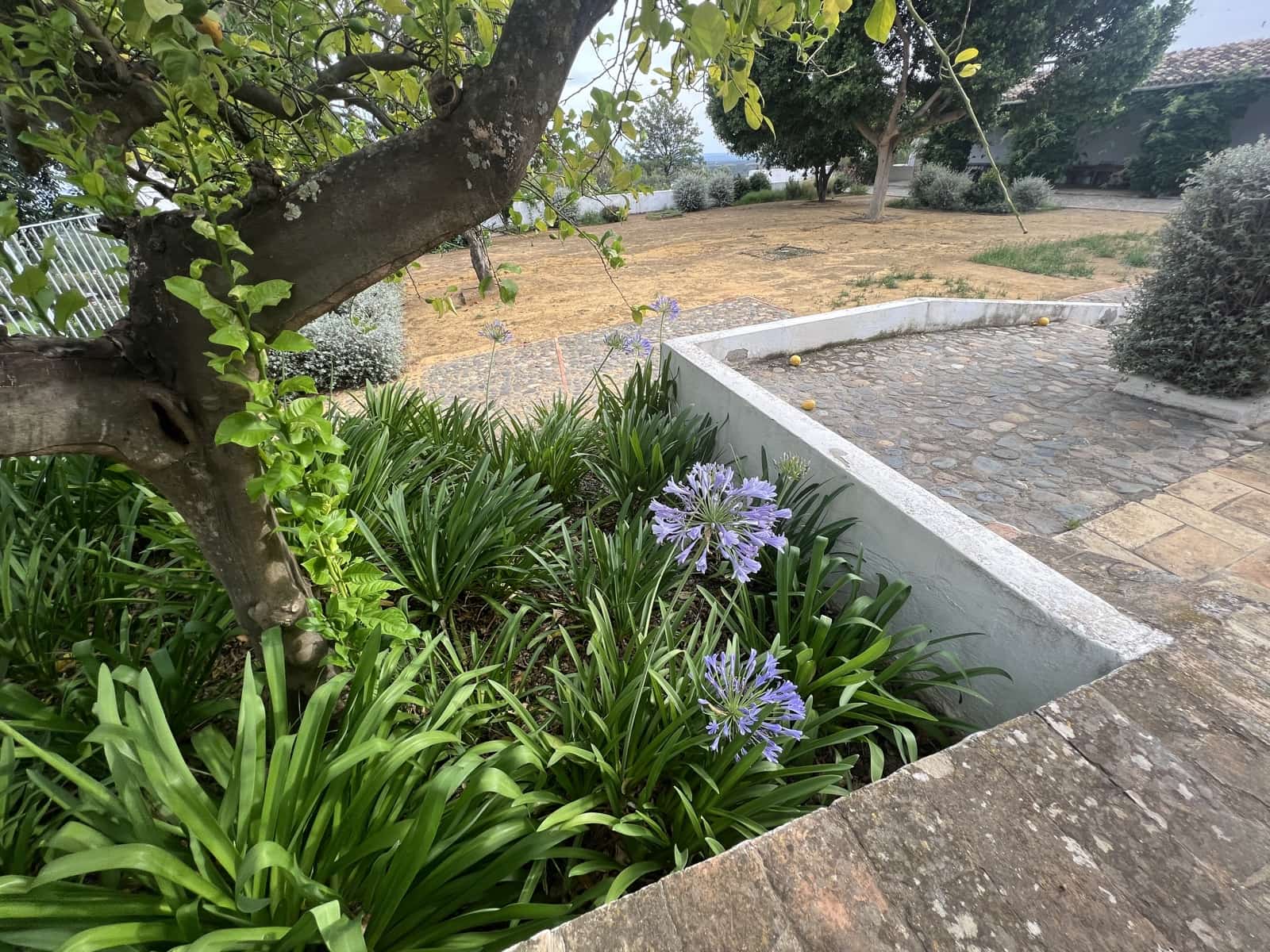 5 soveværelse Finca/Landehus til salg i Lora del Rio med swimmingpool garage - € 2.275.000 (Ref: 7667920)