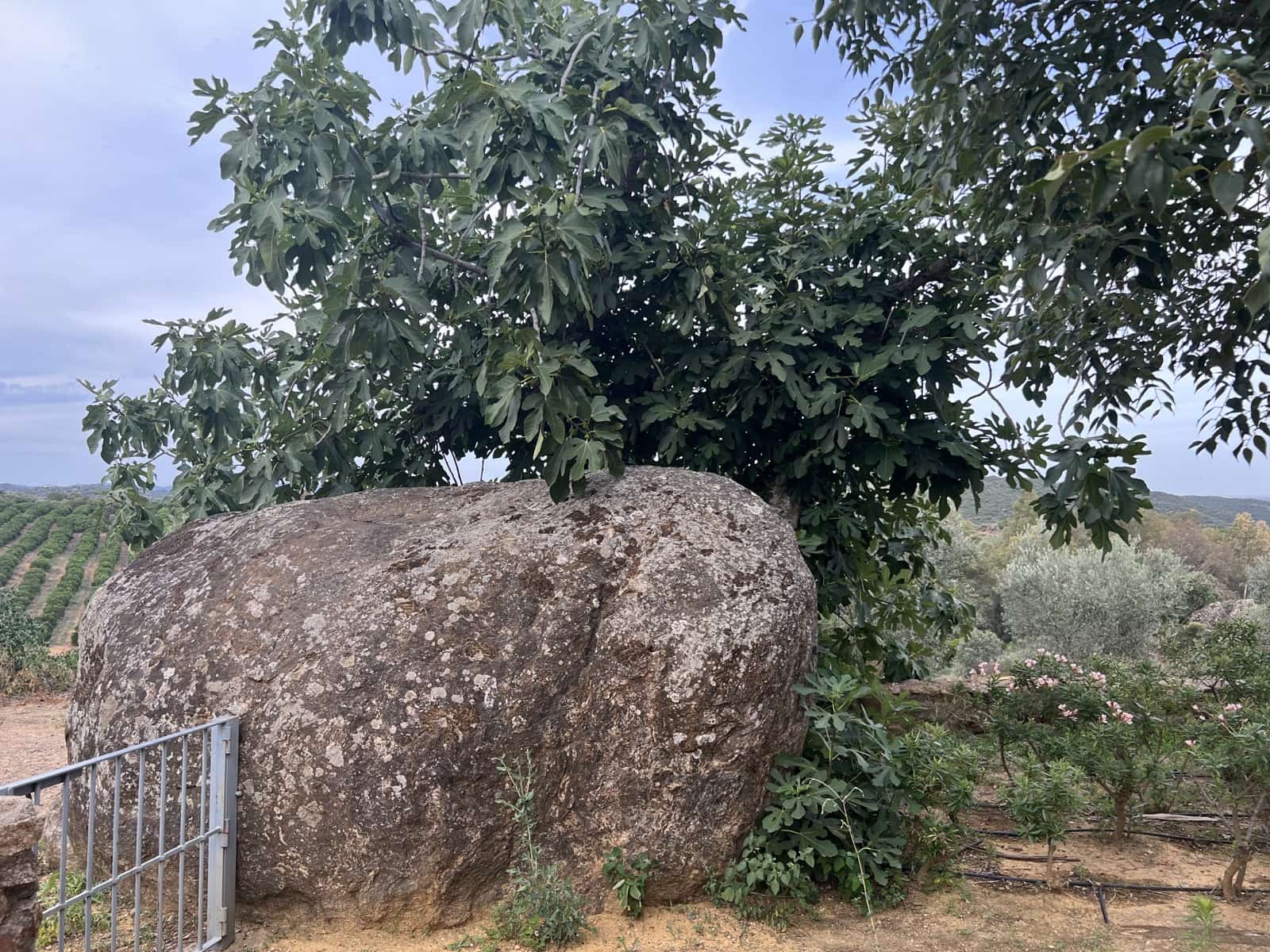 5 soveværelse Finca/Landehus til salg i Lora del Rio med swimmingpool garage - € 2.275.000 (Ref: 7667920)