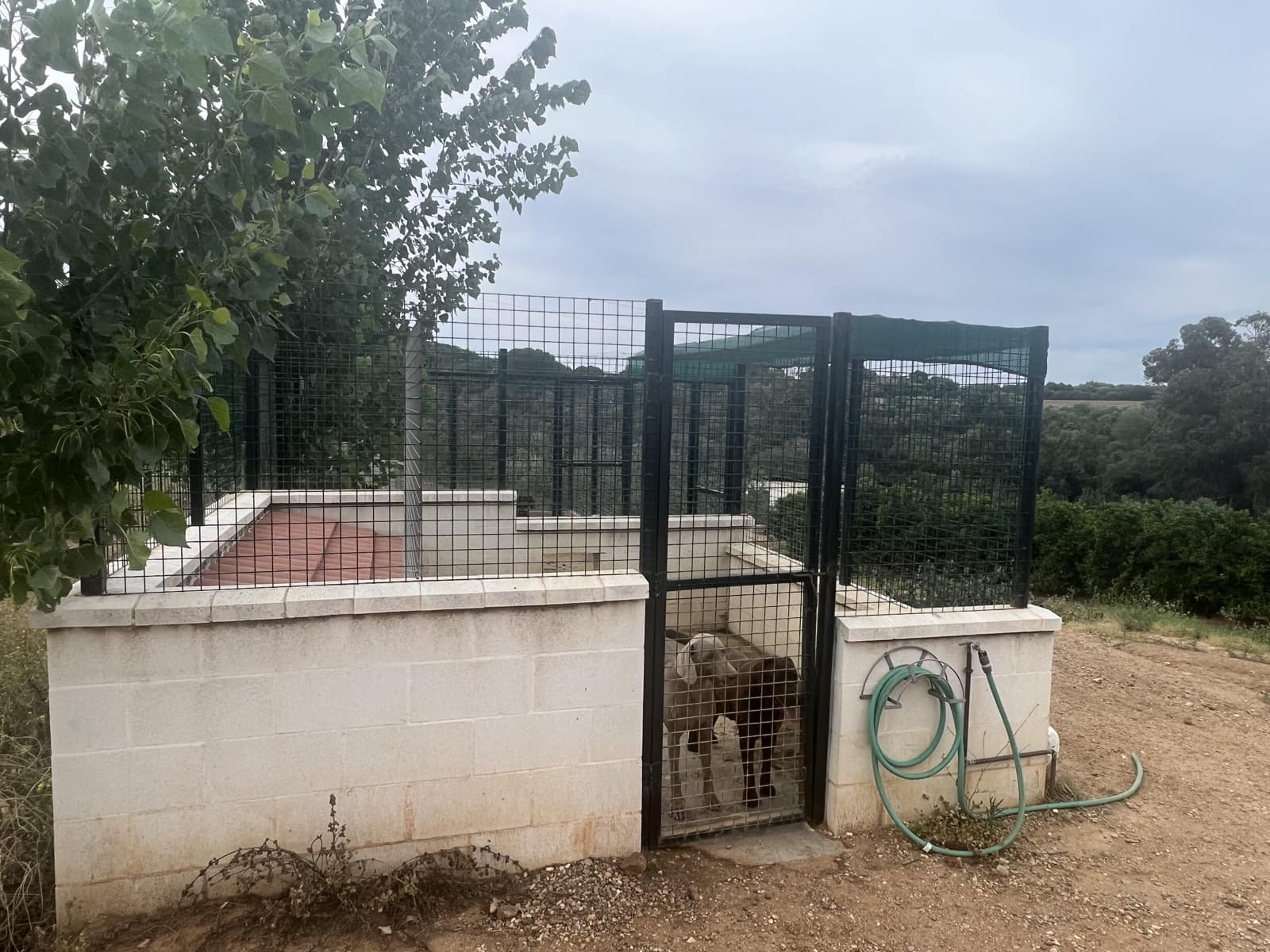 5 soveværelse Finca/Landehus til salg i Lora del Rio med swimmingpool garage - € 2.275.000 (Ref: 7667920)