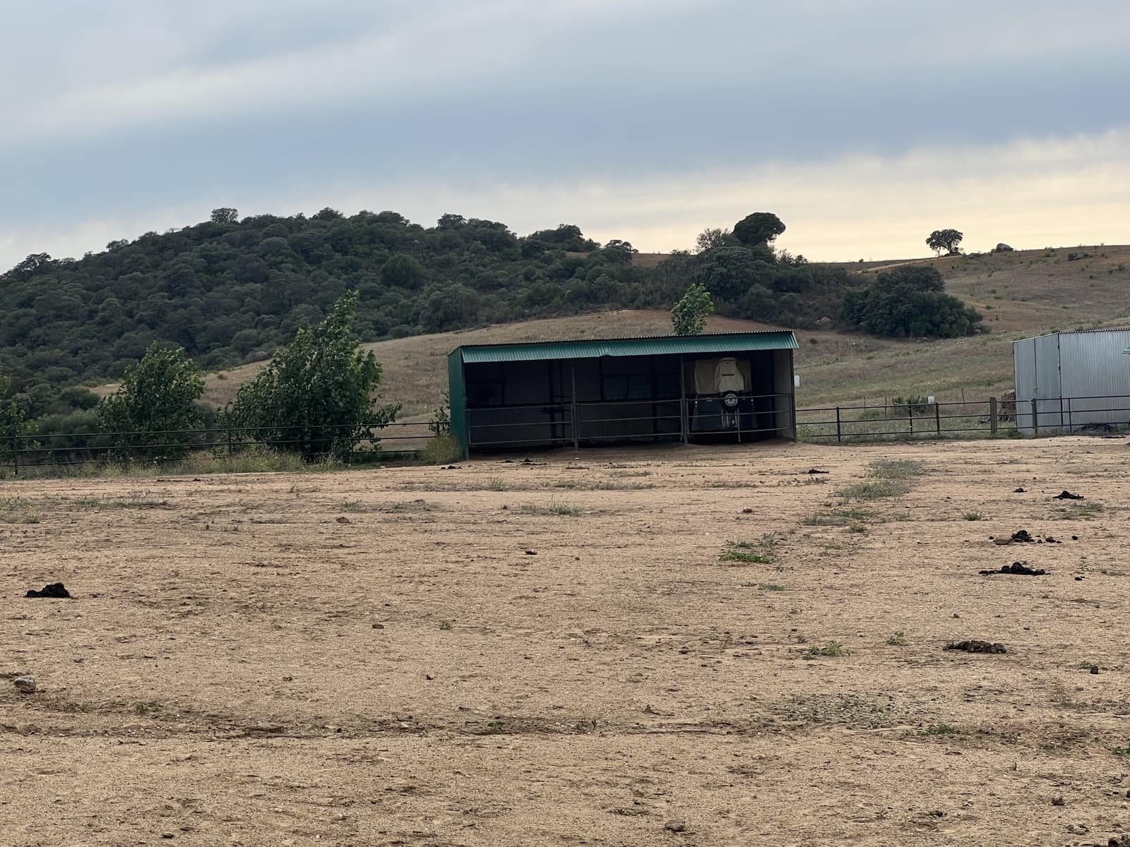 5 soveværelse Finca/Landehus til salg i Lora del Rio med swimmingpool garage - € 2.275.000 (Ref: 7667920)