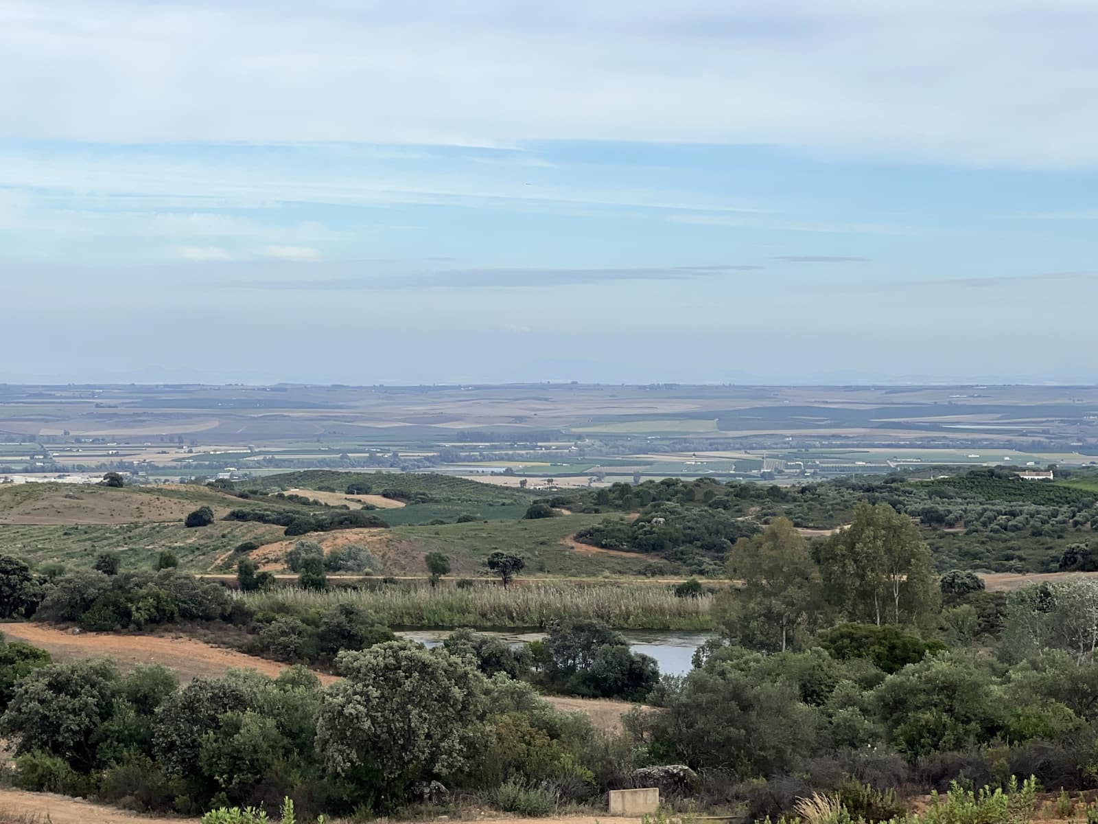 5 soveværelse Finca/Landehus til salg i Lora del Rio med swimmingpool garage - € 2.275.000 (Ref: 7667920)