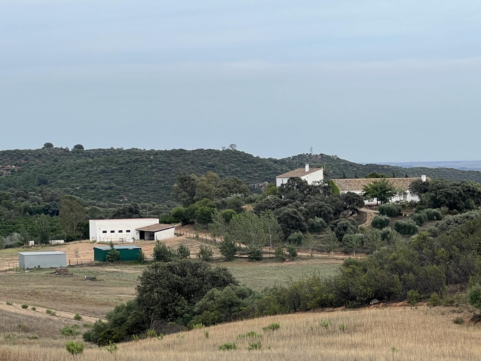 5 soveværelse Finca/Landehus til salg i Lora del Rio med swimmingpool garage - € 2.275.000 (Ref: 7667920)