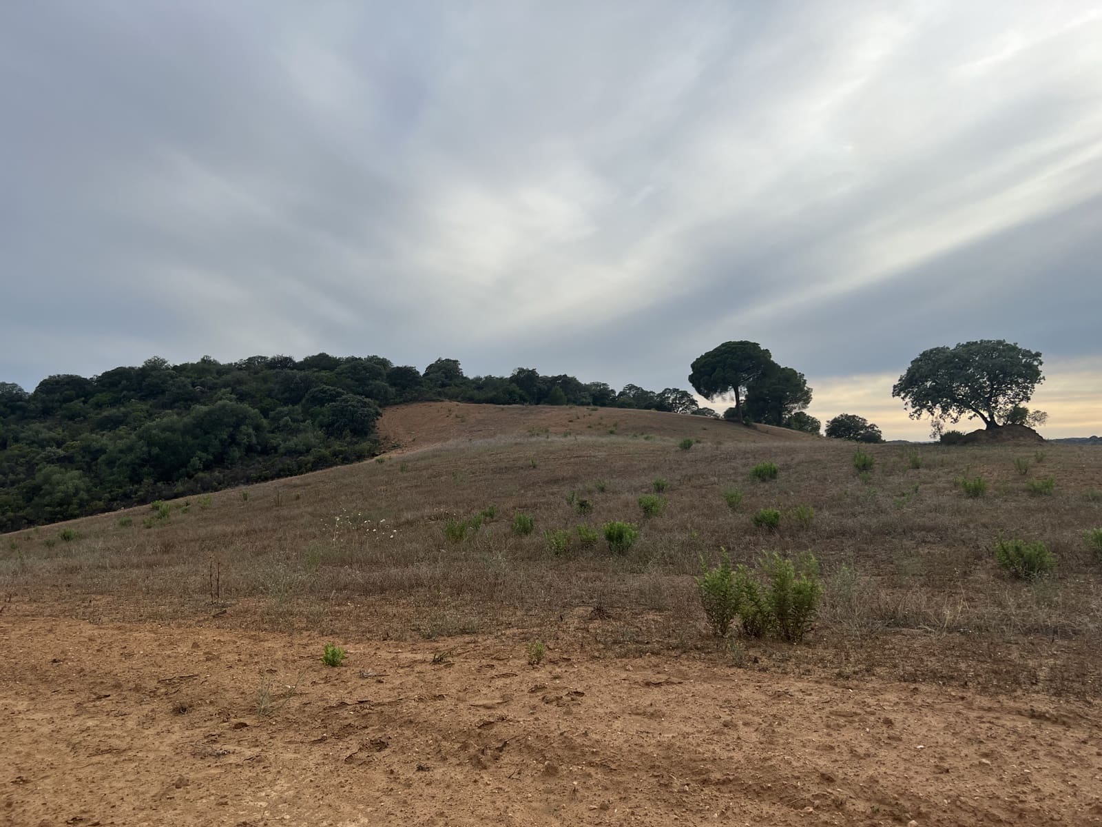 5 soveværelse Finca/Landehus til salg i Lora del Rio med swimmingpool garage - € 2.275.000 (Ref: 7667920)