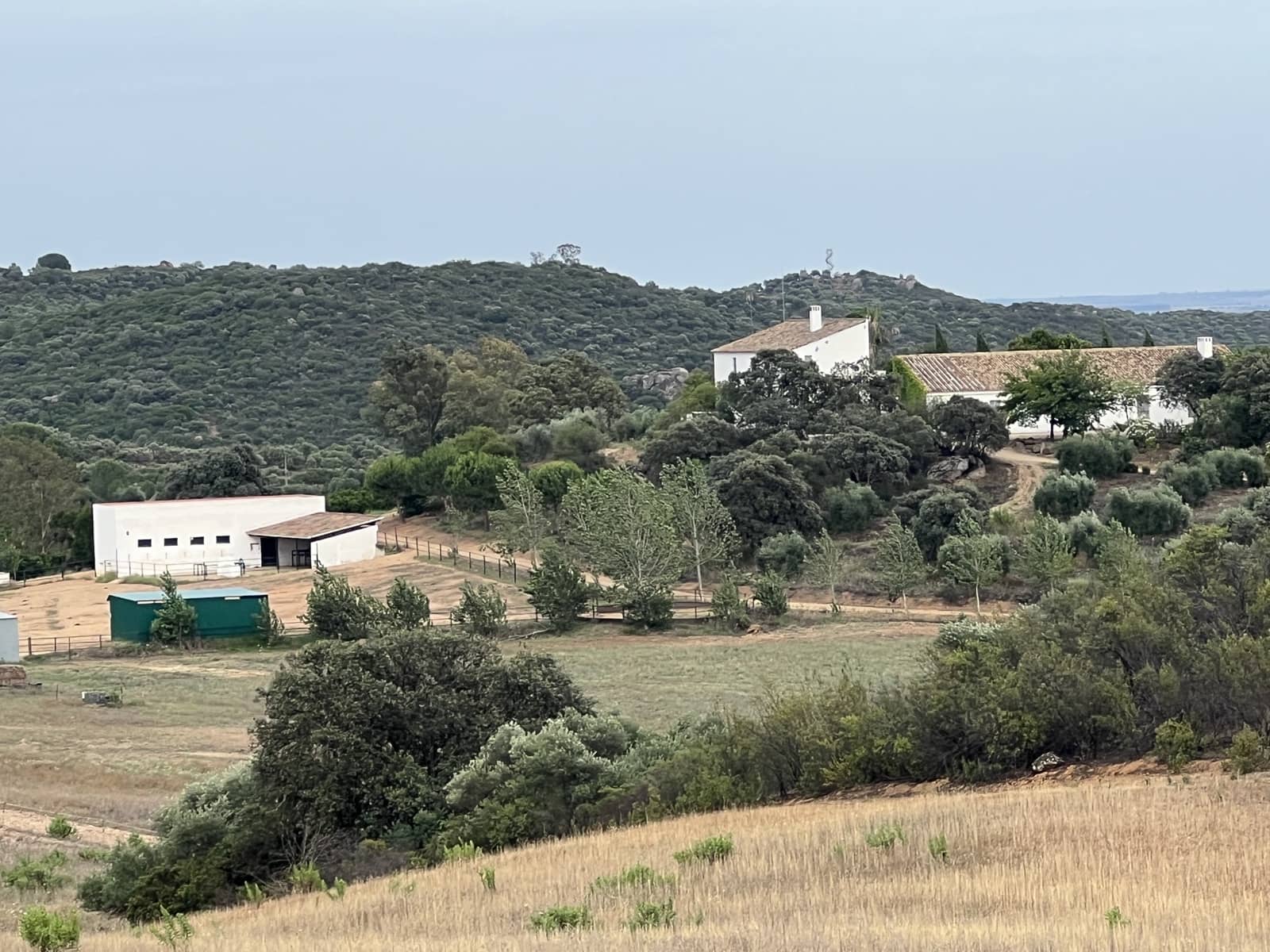 5 soveværelse Finca/Landehus til salg i Lora del Rio med swimmingpool garage - € 2.275.000 (Ref: 7667920)