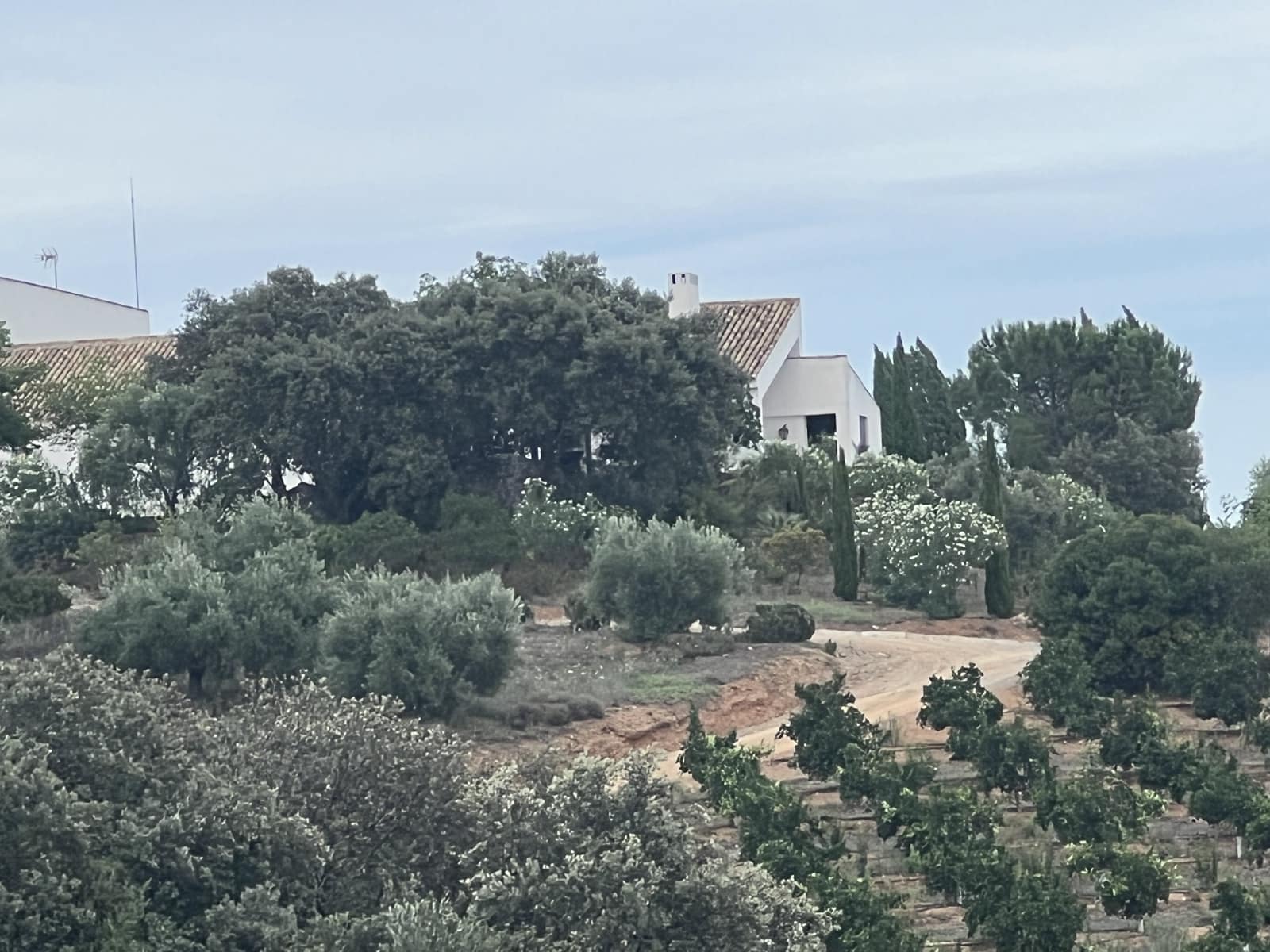 5 soveværelse Finca/Landehus til salg i Lora del Rio med swimmingpool garage - € 2.275.000 (Ref: 7667920)