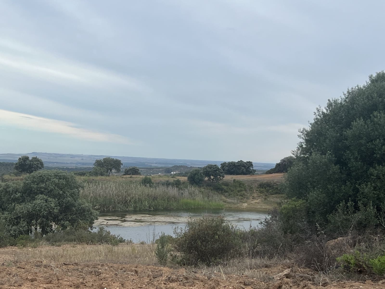 5 soveværelse Finca/Landehus til salg i Lora del Rio med swimmingpool garage - € 2.275.000 (Ref: 7667920)