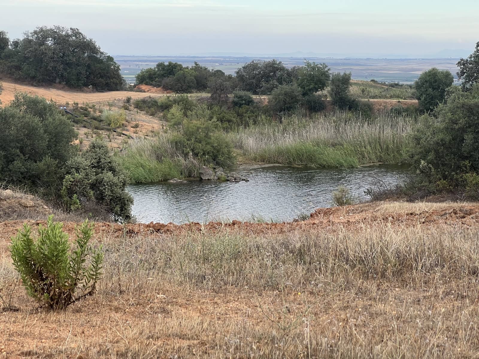 5 soveværelse Finca/Landehus til salg i Lora del Rio med swimmingpool garage - € 2.275.000 (Ref: 7667920)