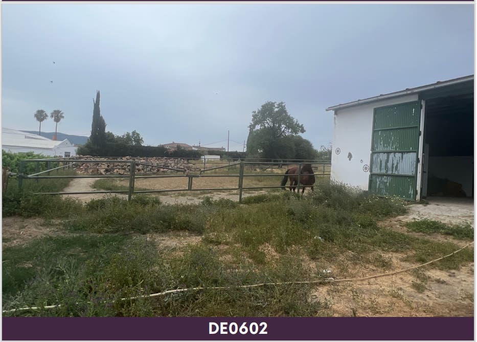 Ruin til salg i Jimena de la Frontera - € 600.000 (Ref: 7822098)