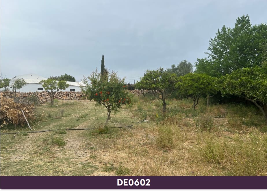 Ruin til salg i Jimena de la Frontera - € 600.000 (Ref: 7822098)
