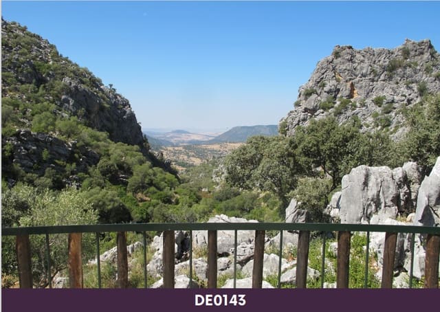 20 sypialnia Pensjonat na sprzedaż w Benaocaz z basenem - 2 000 000 € (Ref: 7822504)