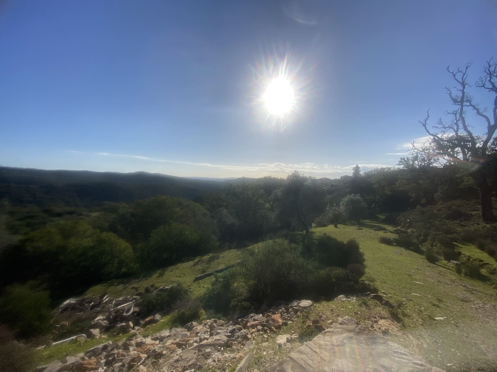 4 slaapkamer Finca/Landhuis te koop in Jimena de la Frontera - € 395.000 (Ref: 7977445)