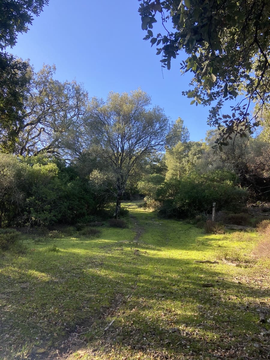 4 slaapkamer Finca/Landhuis te koop in Jimena de la Frontera - € 395.000 (Ref: 7977445)