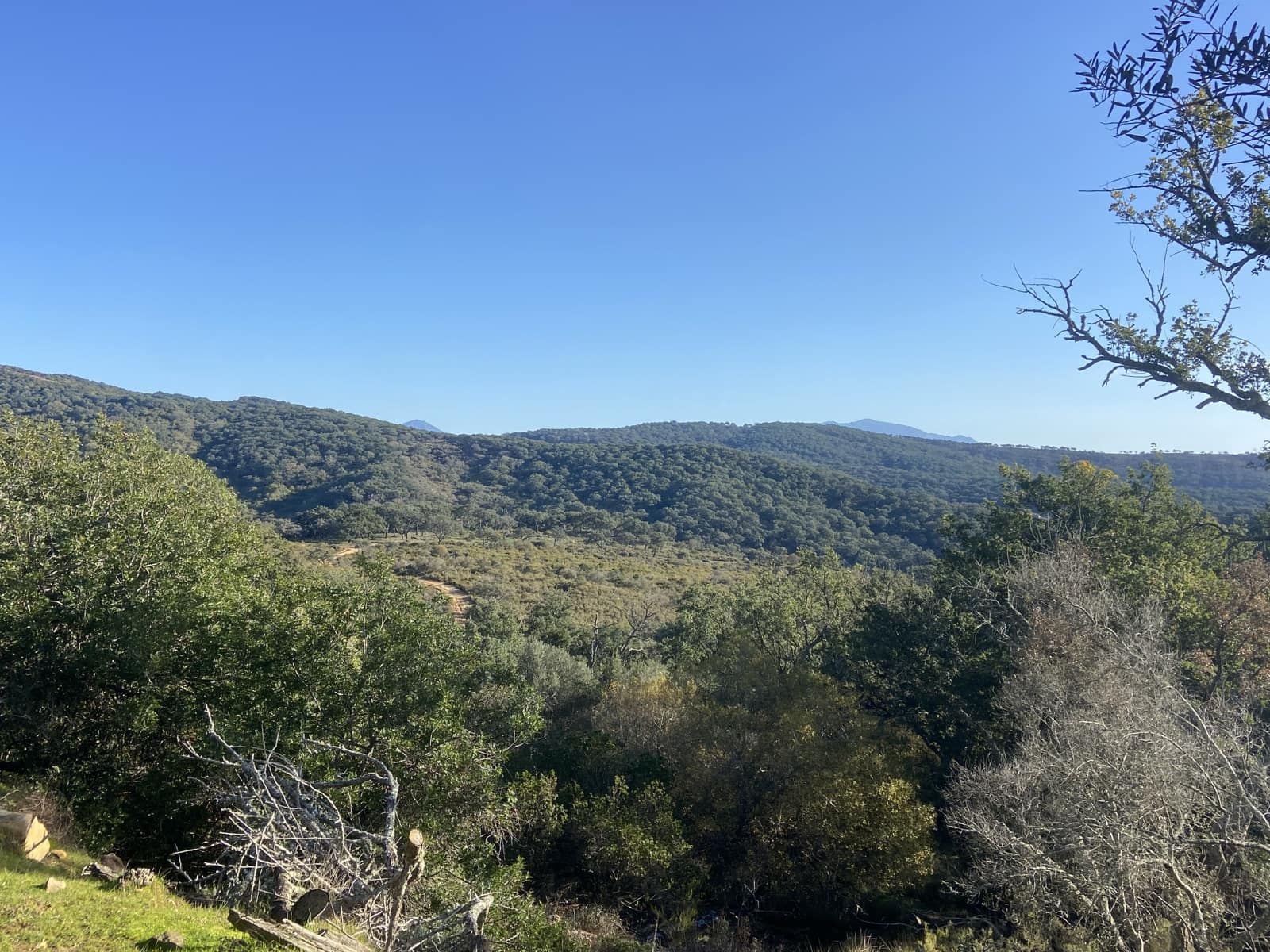 4 slaapkamer Finca/Landhuis te koop in Jimena de la Frontera - € 395.000 (Ref: 7977445)