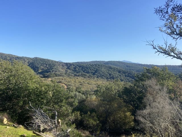 4 slaapkamer Finca/Landhuis te koop in Jimena de la Frontera - € 395.000 (Ref: 7977445)