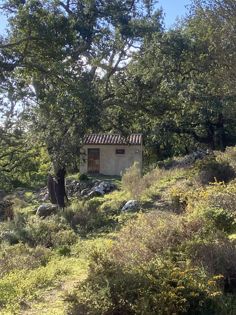 4 slaapkamer Finca/Landhuis te koop in Jimena de la Frontera - € 395.000 (Ref: 7977445)