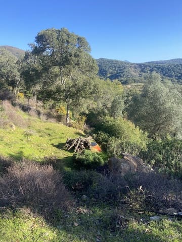 4 slaapkamer Finca/Landhuis te koop in Jimena de la Frontera - € 395.000 (Ref: 7977445)