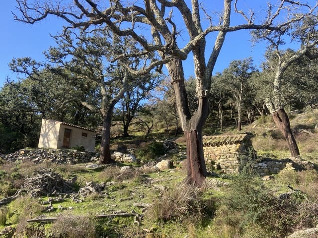 4 slaapkamer Finca/Landhuis te koop in Jimena de la Frontera - € 395.000 (Ref: 7977445)