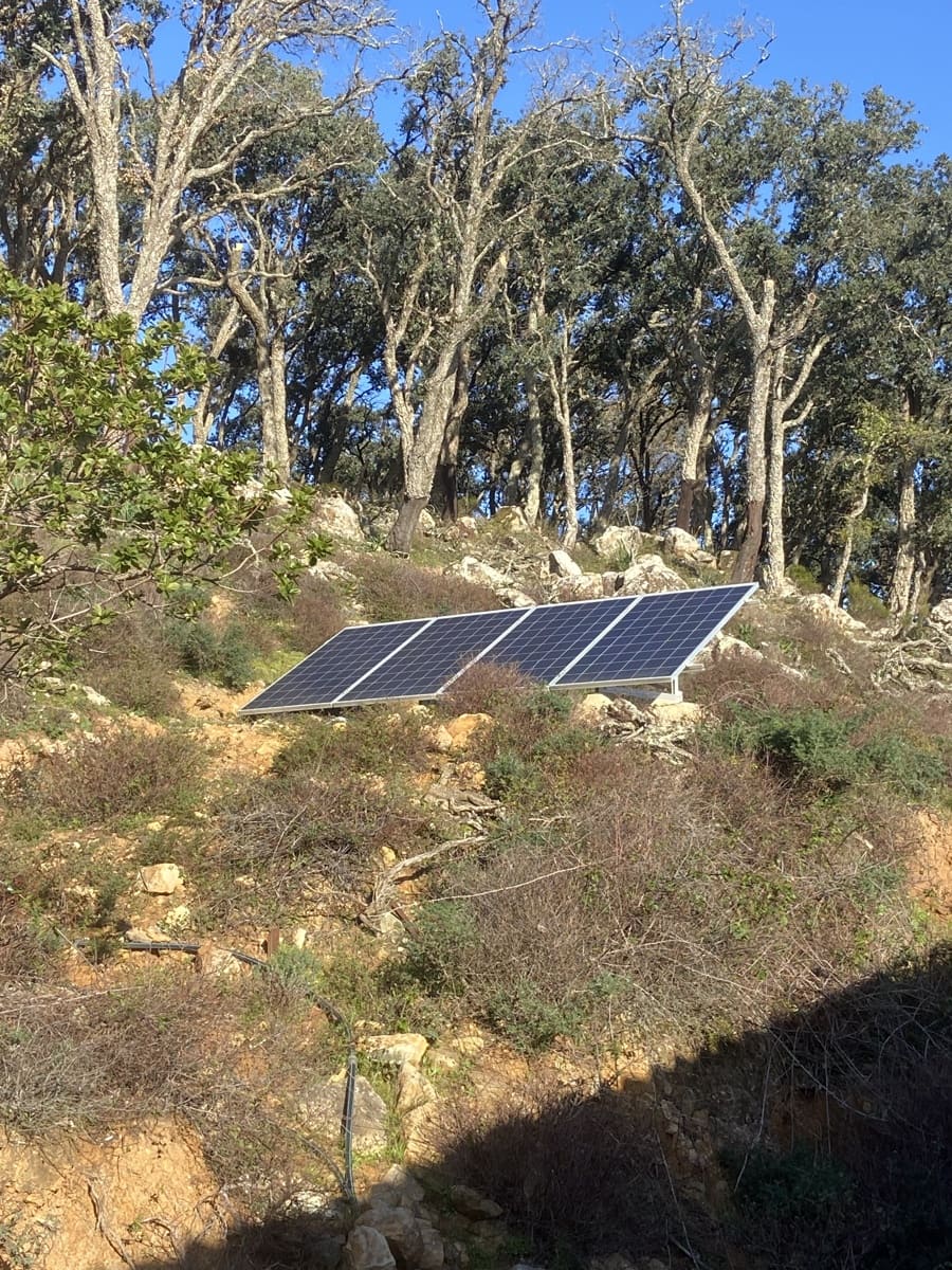 4 slaapkamer Finca/Landhuis te koop in Jimena de la Frontera - € 395.000 (Ref: 7977445)