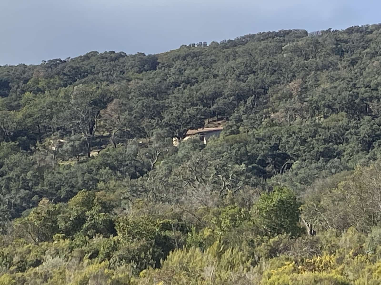 4 slaapkamer Finca/Landhuis te koop in Jimena de la Frontera - € 395.000 (Ref: 7977445)