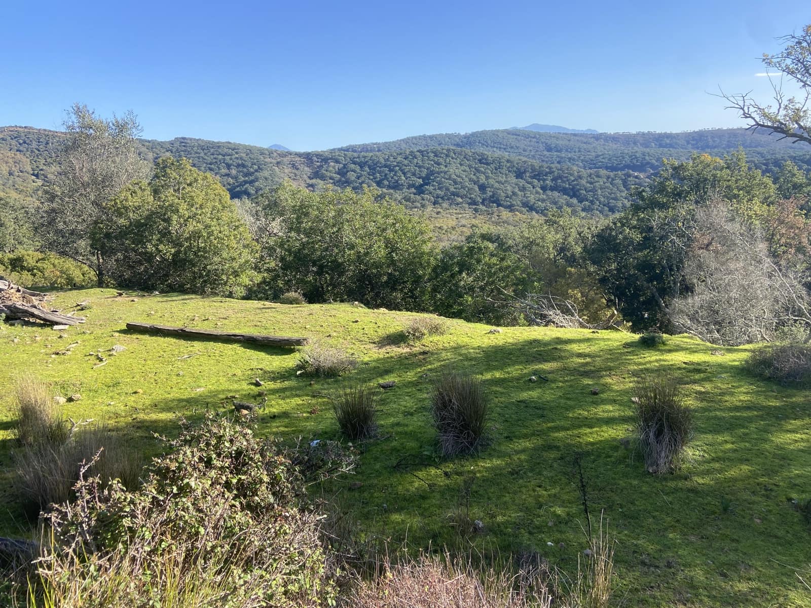 4 slaapkamer Finca/Landhuis te koop in Jimena de la Frontera - € 395.000 (Ref: 7977445)