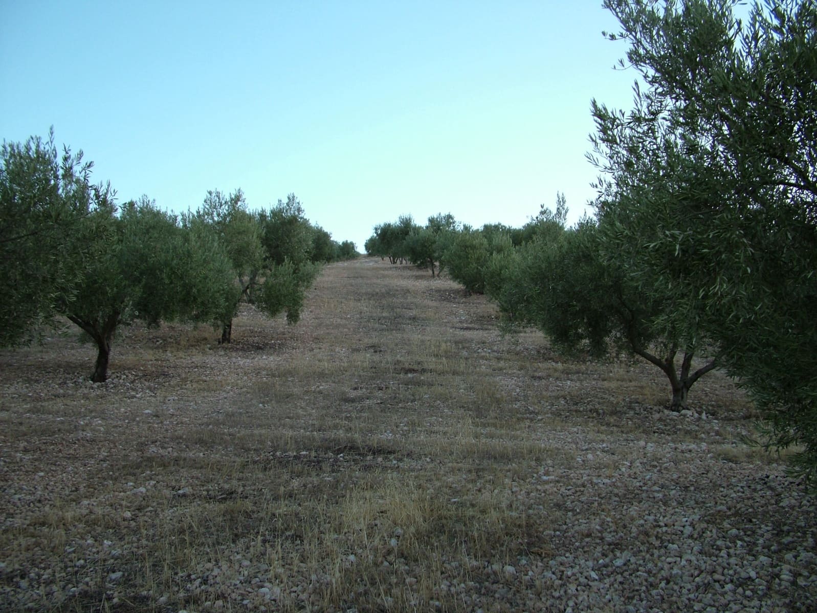5 chambre Finca/Maison de Campagne à vendre à Alhama de Granada - 1 300 000 € (Ref: 8073128)