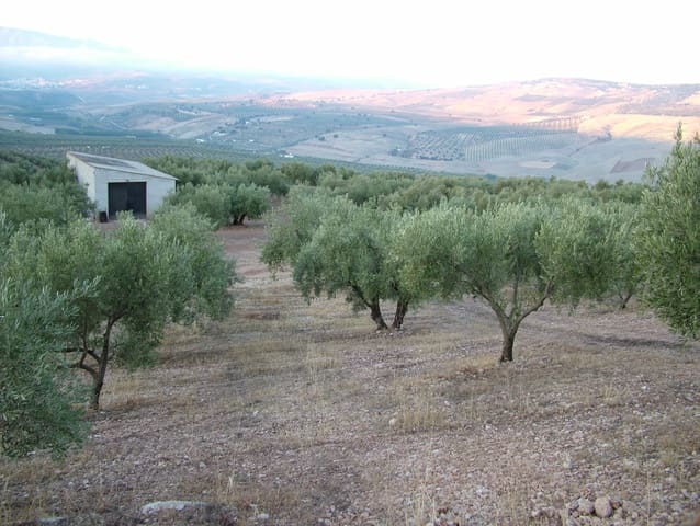 5 chambre Finca/Maison de Campagne à vendre à Alhama de Granada - 1 300 000 € (Ref: 8073128)