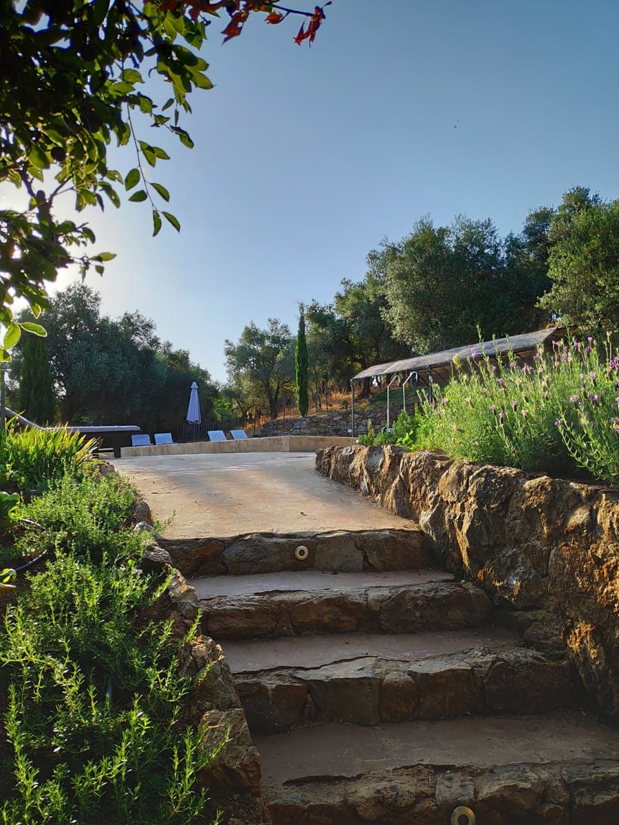 13 soveværelse Hotel til salg i Constantina - € 1.650.000 (Ref: 8314790)