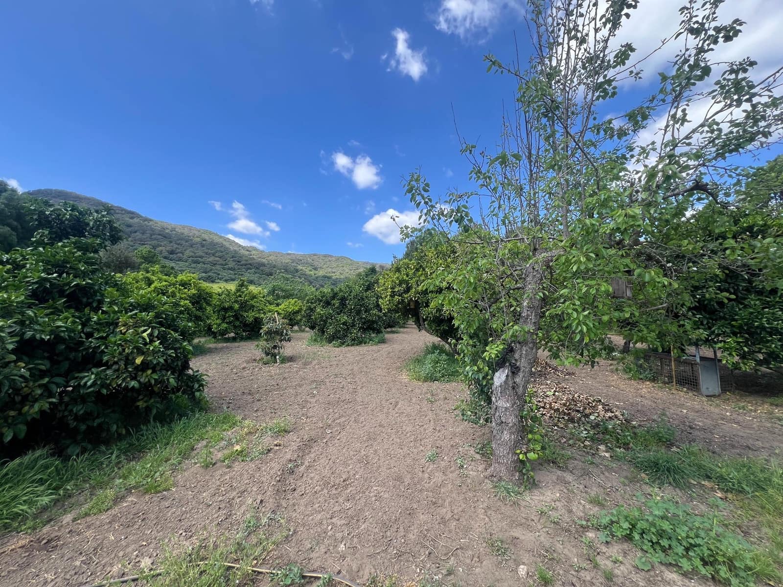 5 soveværelse Finca/Landehus til salg i Marchenilla - € 880.000 (Ref: 8460581)