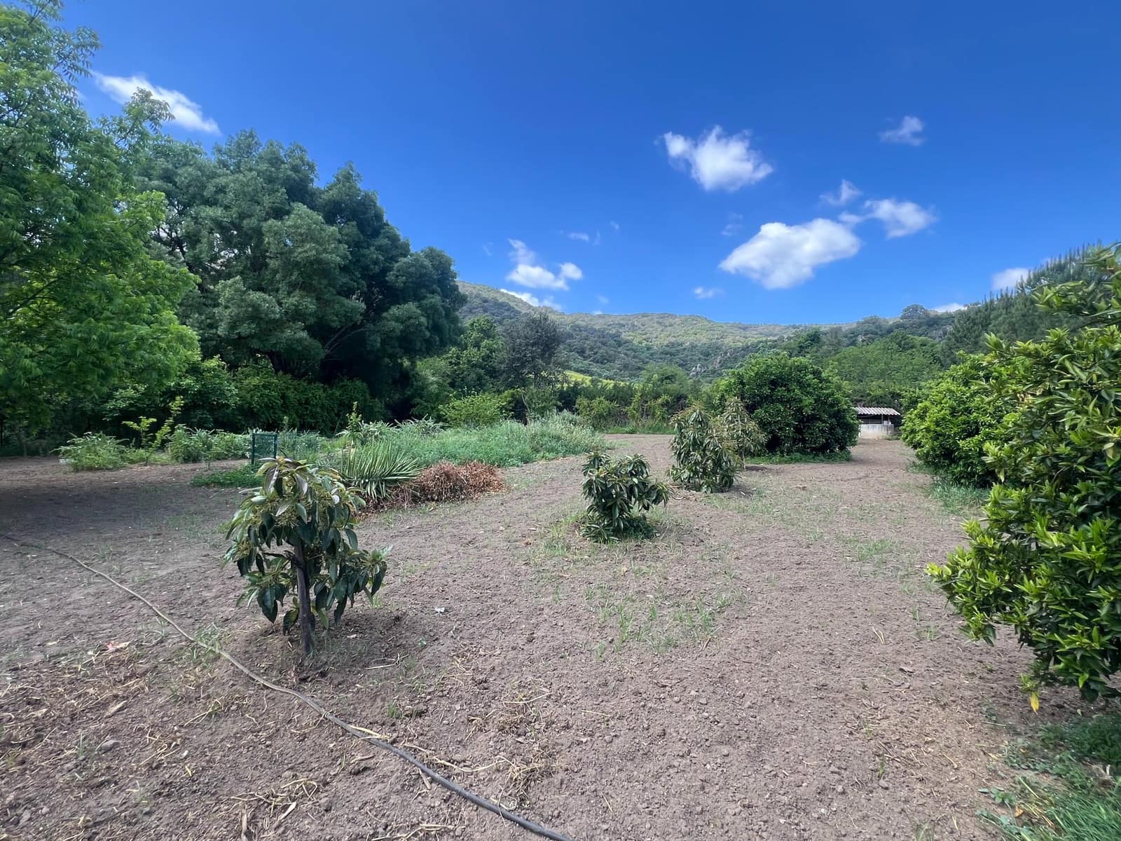 5 soveværelse Finca/Landehus til salg i Marchenilla - € 880.000 (Ref: 8460581)