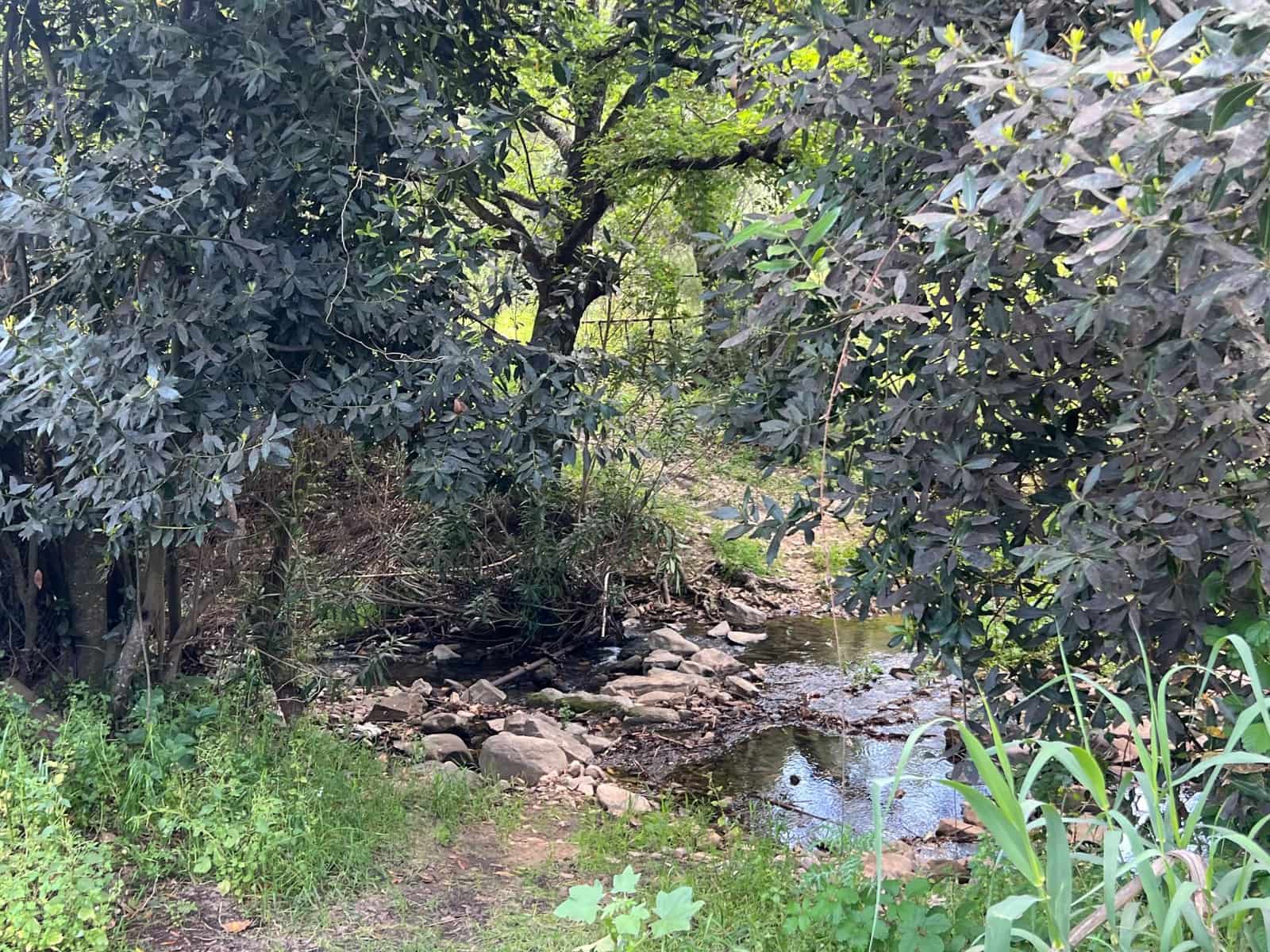 5 soveværelse Finca/Landehus til salg i Marchenilla - € 880.000 (Ref: 8460581)