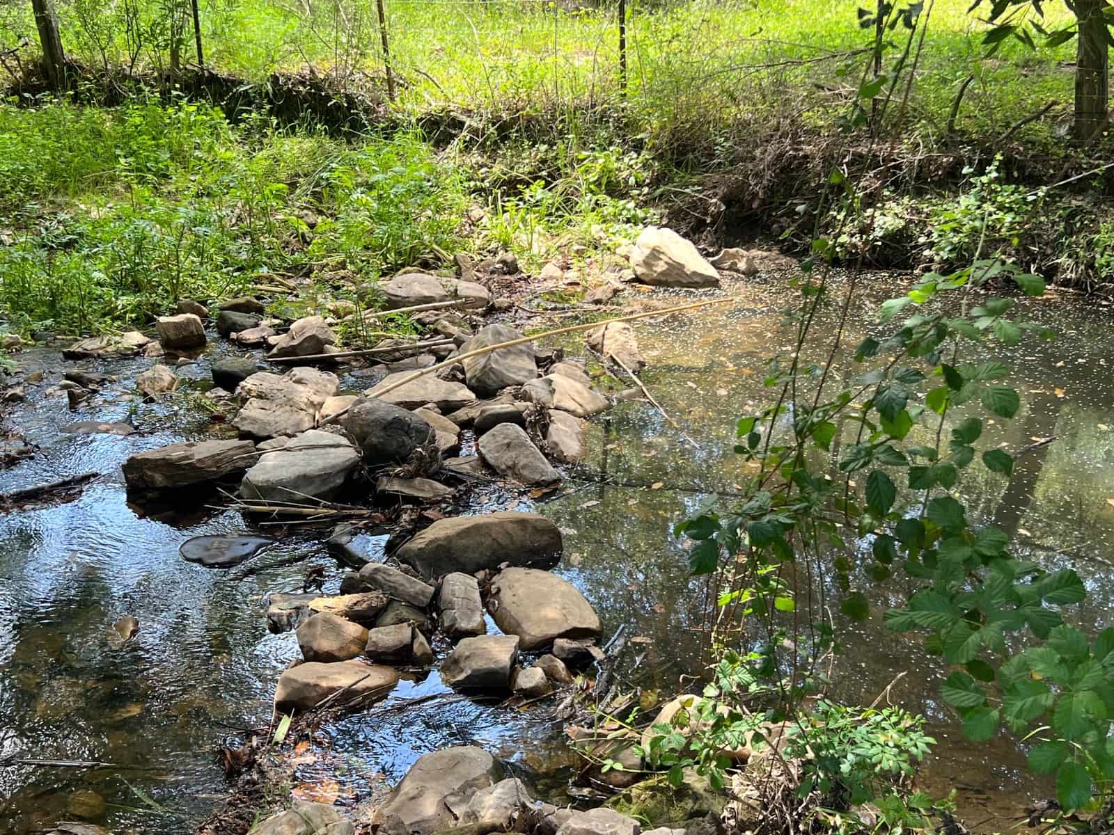 5 soveværelse Finca/Landehus til salg i Marchenilla - € 880.000 (Ref: 8460581)