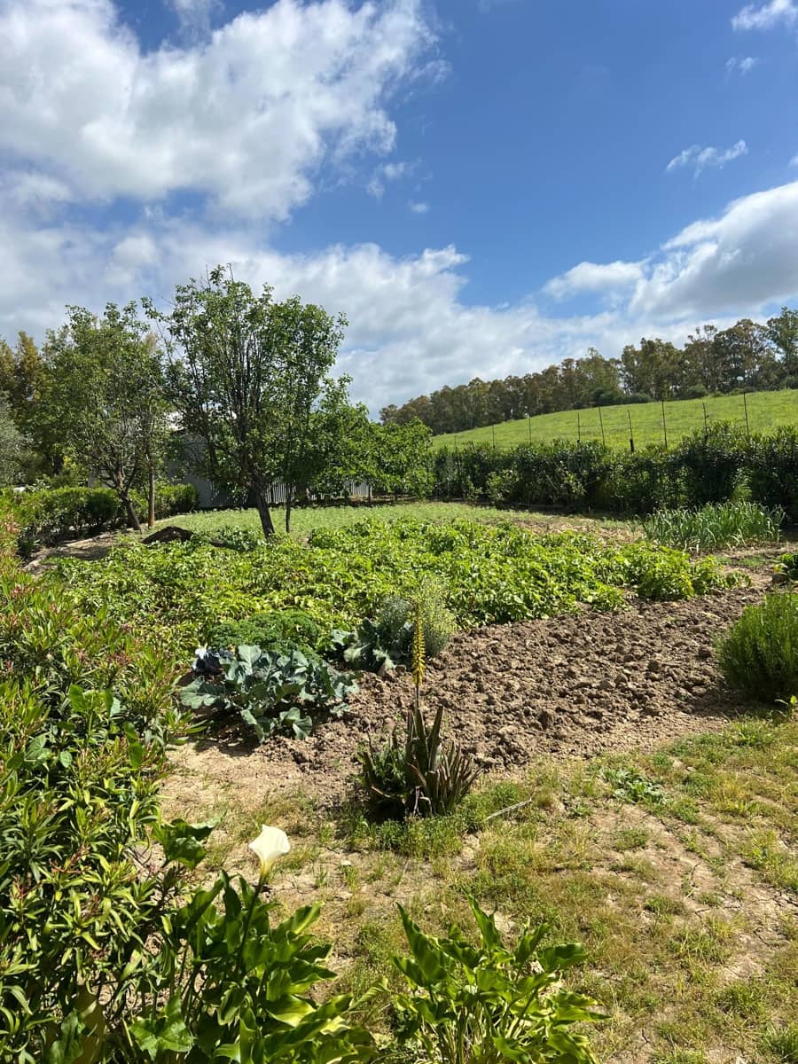 3 makuuhuone Maalaistalo myytävänä paikassa Jimena de la Frontera - 480 000 € (Ref: 8460585)