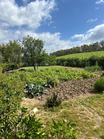 3 chambre Finca/Maison de Campagne à vendre à Jimena de la Frontera - 480 000 € (Ref: 8460585)