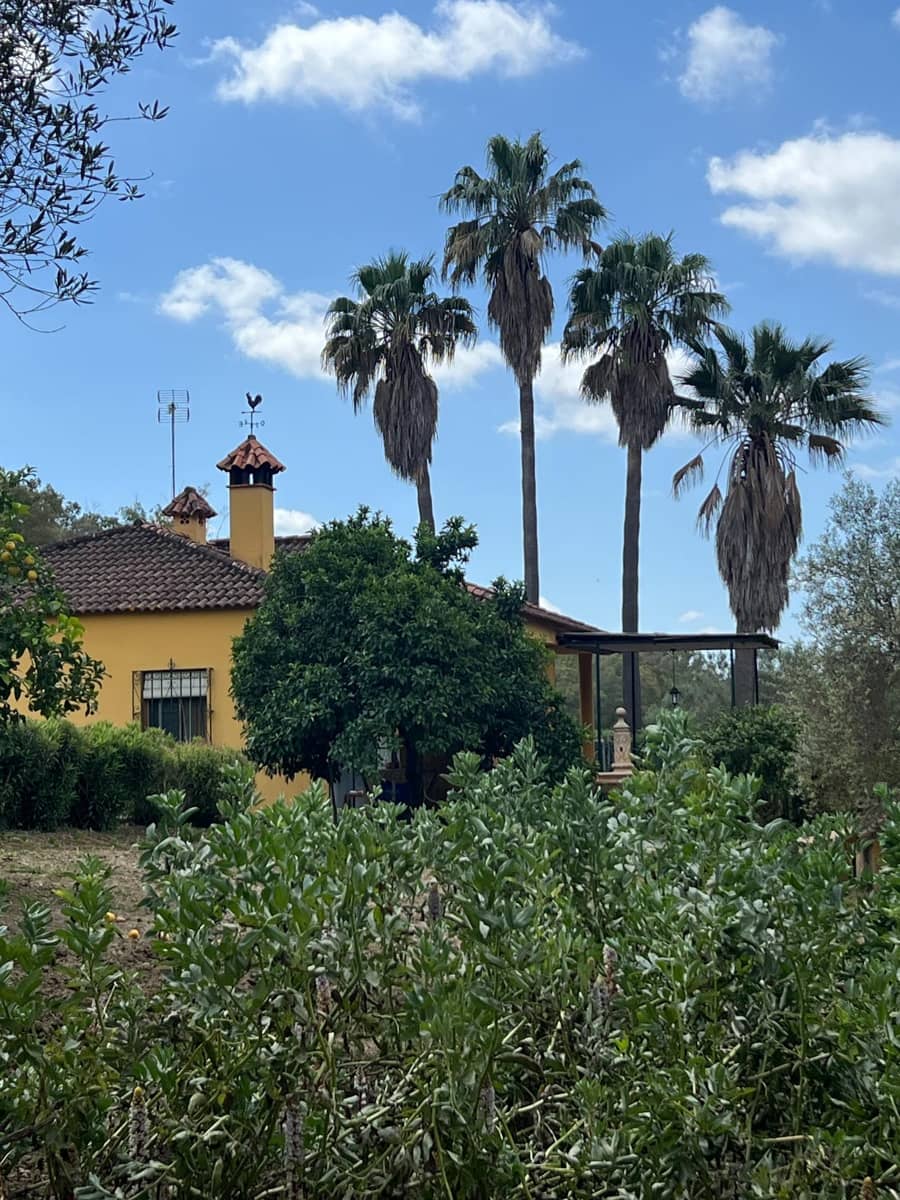 3 makuuhuone Maalaistalo myytävänä paikassa Jimena de la Frontera - 480 000 € (Ref: 8460585)