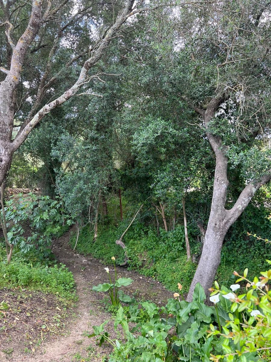 3 makuuhuone Maalaistalo myytävänä paikassa Jimena de la Frontera - 480 000 € (Ref: 8460585)