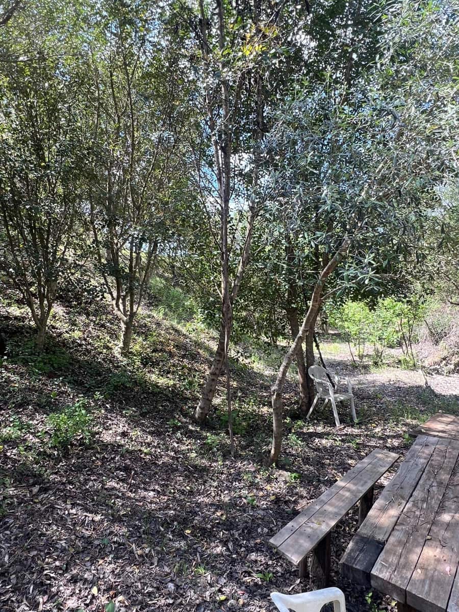 3 makuuhuone Maalaistalo myytävänä paikassa Jimena de la Frontera - 480 000 € (Ref: 8460585)