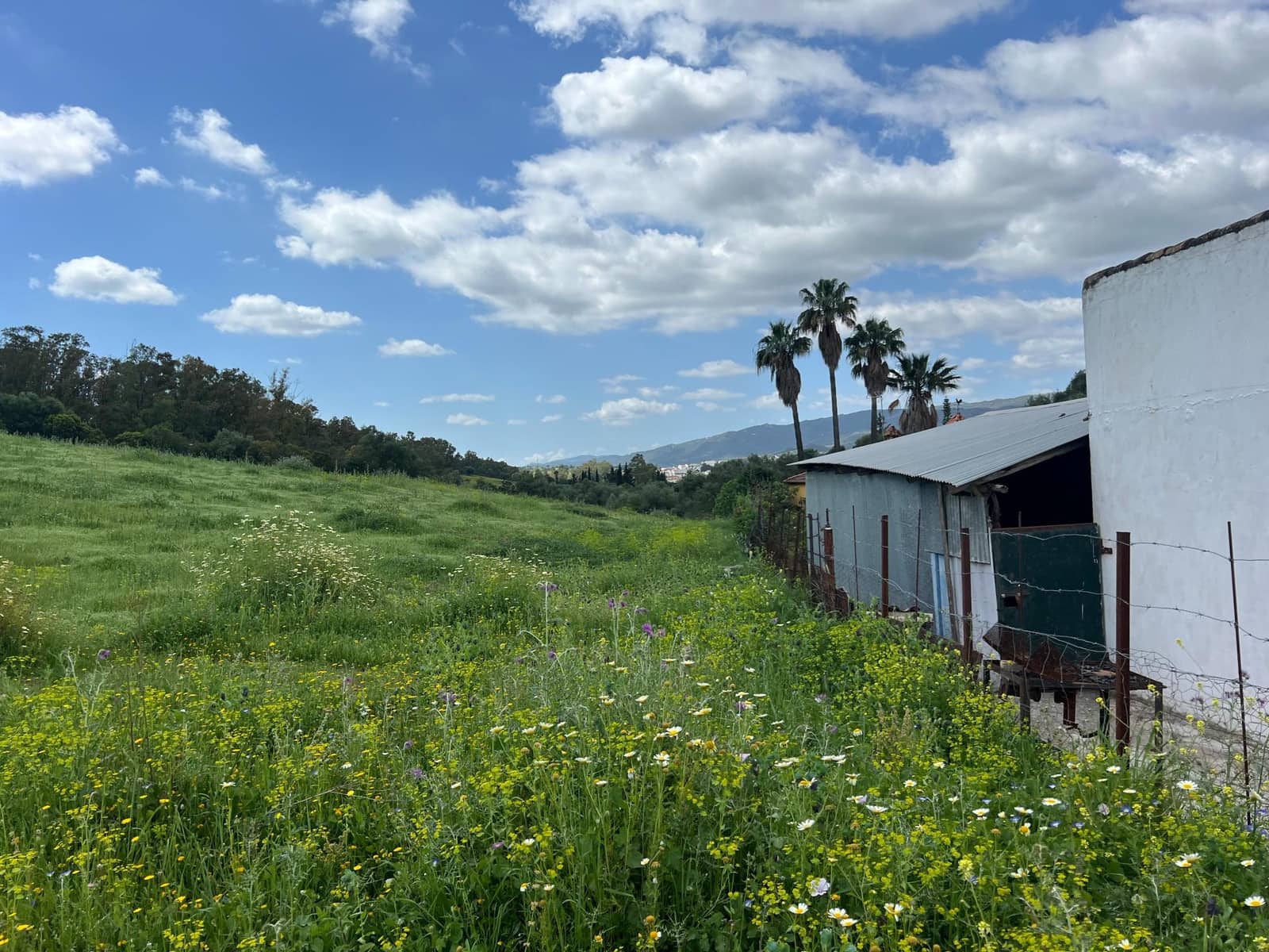 3 makuuhuone Maalaistalo myytävänä paikassa Jimena de la Frontera - 480 000 € (Ref: 8460585)