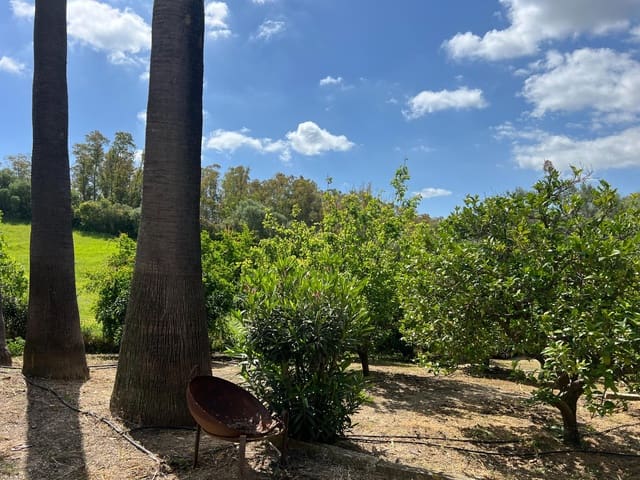 3 chambre Finca/Maison de Campagne à vendre à Jimena de la Frontera - 480 000 € (Ref: 8460585)