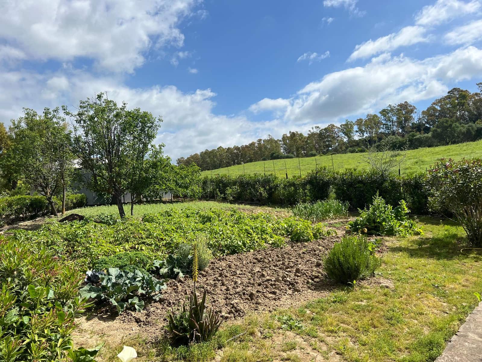 3 makuuhuone Maalaistalo myytävänä paikassa Jimena de la Frontera - 480 000 € (Ref: 8460585)