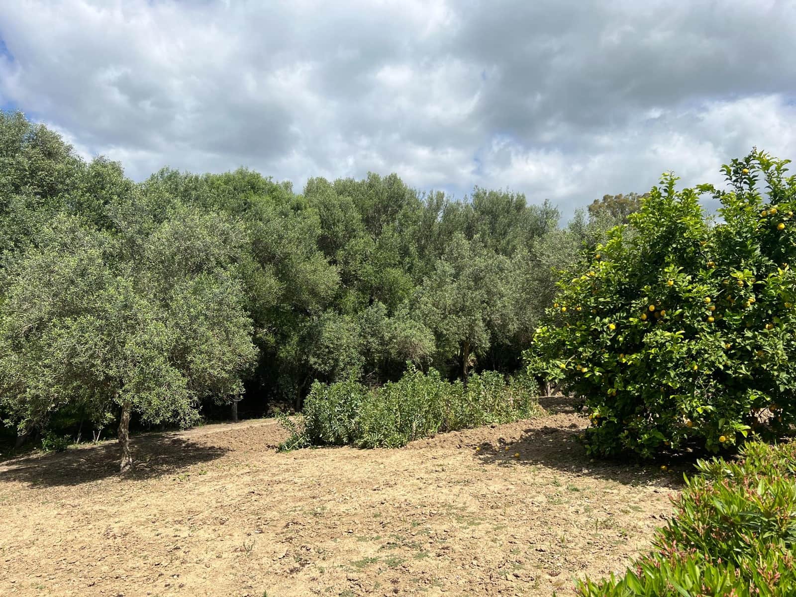 3 makuuhuone Maalaistalo myytävänä paikassa Jimena de la Frontera - 480 000 € (Ref: 8460585)