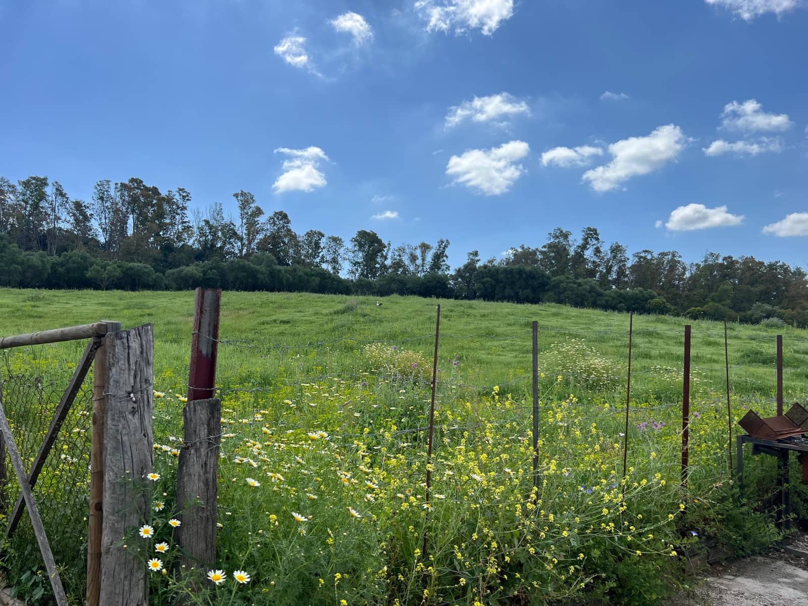 3 makuuhuone Maalaistalo myytävänä paikassa Jimena de la Frontera - 480 000 € (Ref: 8460585)