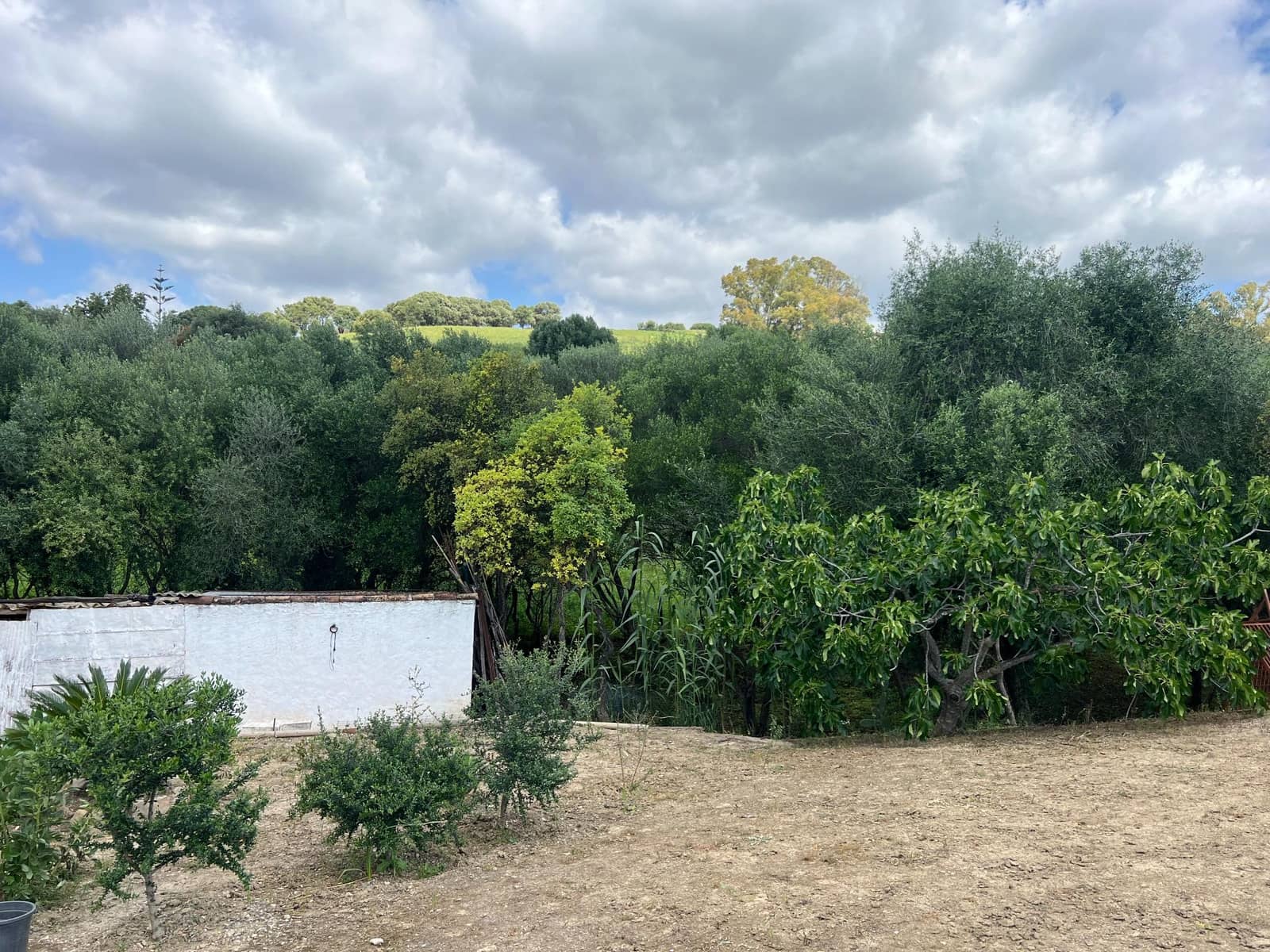 3 makuuhuone Maalaistalo myytävänä paikassa Jimena de la Frontera - 480 000 € (Ref: 8460585)