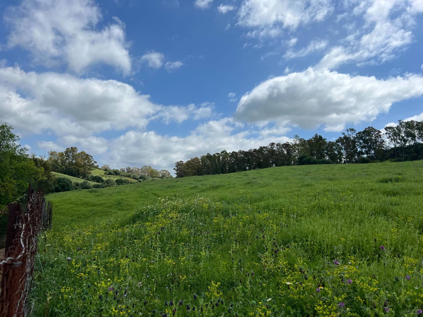 3 makuuhuone Maalaistalo myytävänä paikassa Jimena de la Frontera - 480 000 € (Ref: 8460585)