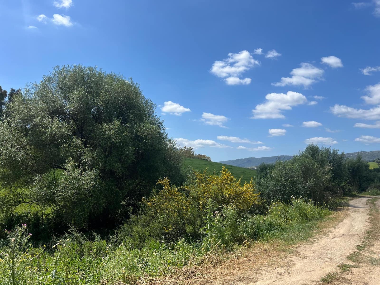 3 makuuhuone Maalaistalo myytävänä paikassa Jimena de la Frontera - 480 000 € (Ref: 8460585)