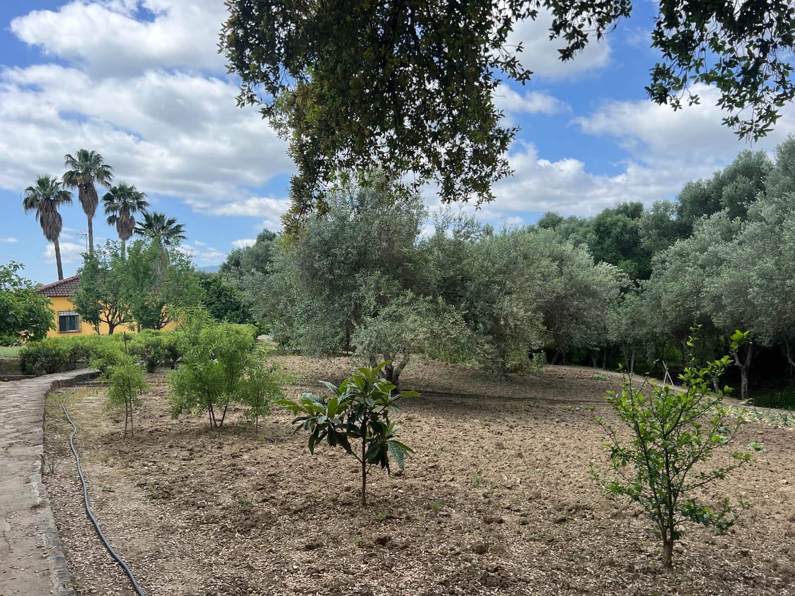 3 makuuhuone Maalaistalo myytävänä paikassa Jimena de la Frontera - 480 000 € (Ref: 8460585)