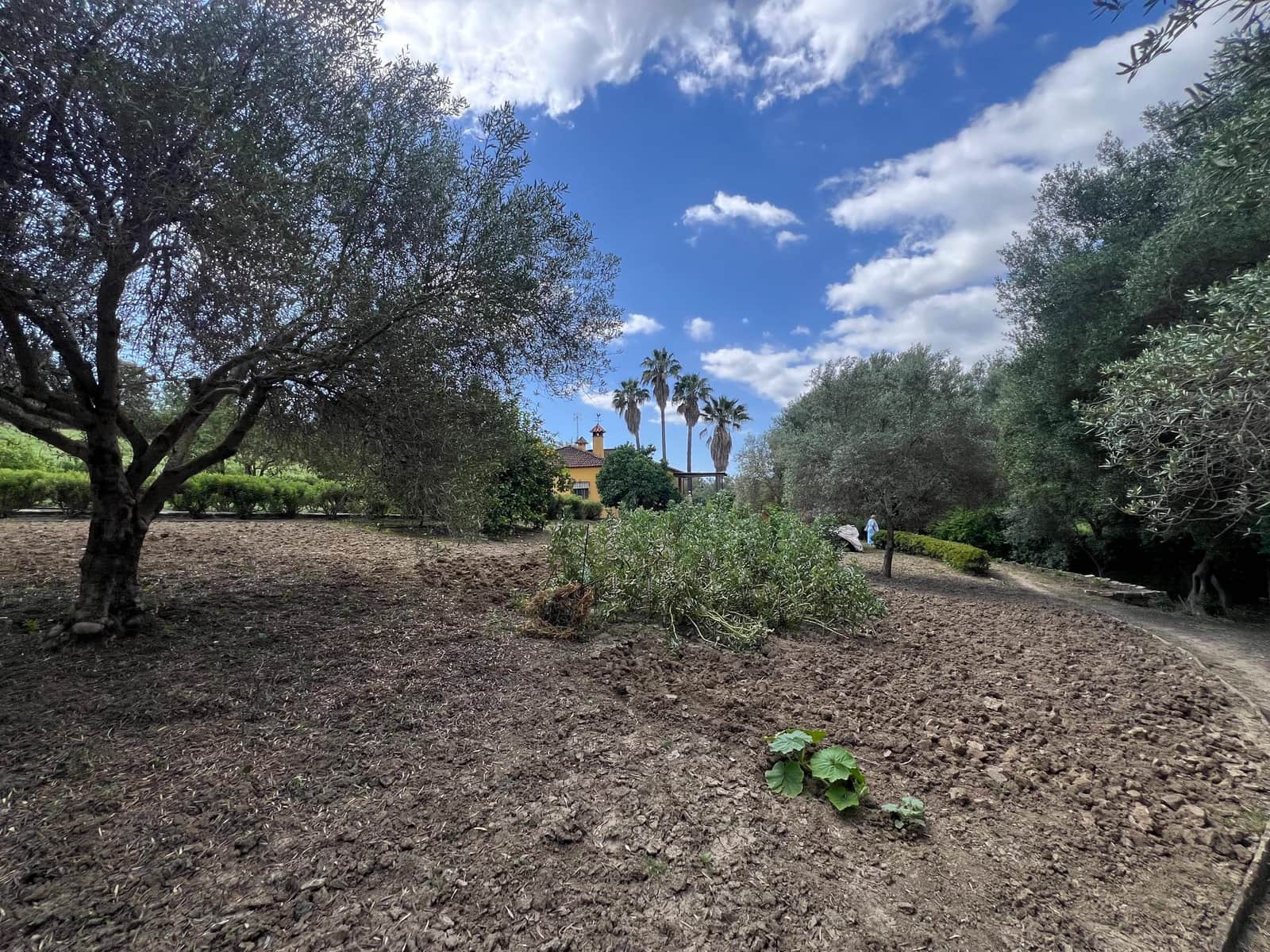 3 makuuhuone Maalaistalo myytävänä paikassa Jimena de la Frontera - 480 000 € (Ref: 8460585)