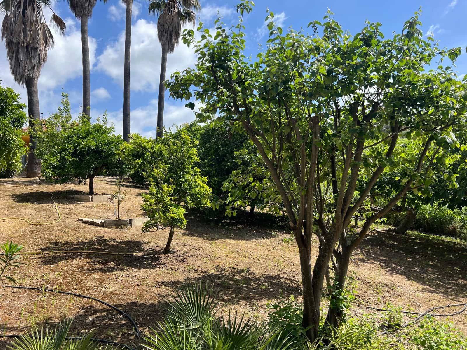 3 makuuhuone Maalaistalo myytävänä paikassa Jimena de la Frontera - 480 000 € (Ref: 8460585)