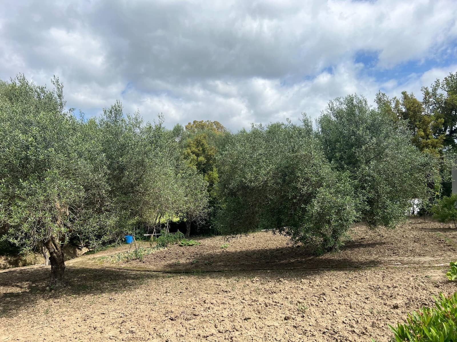 3 makuuhuone Maalaistalo myytävänä paikassa Jimena de la Frontera - 480 000 € (Ref: 8460585)