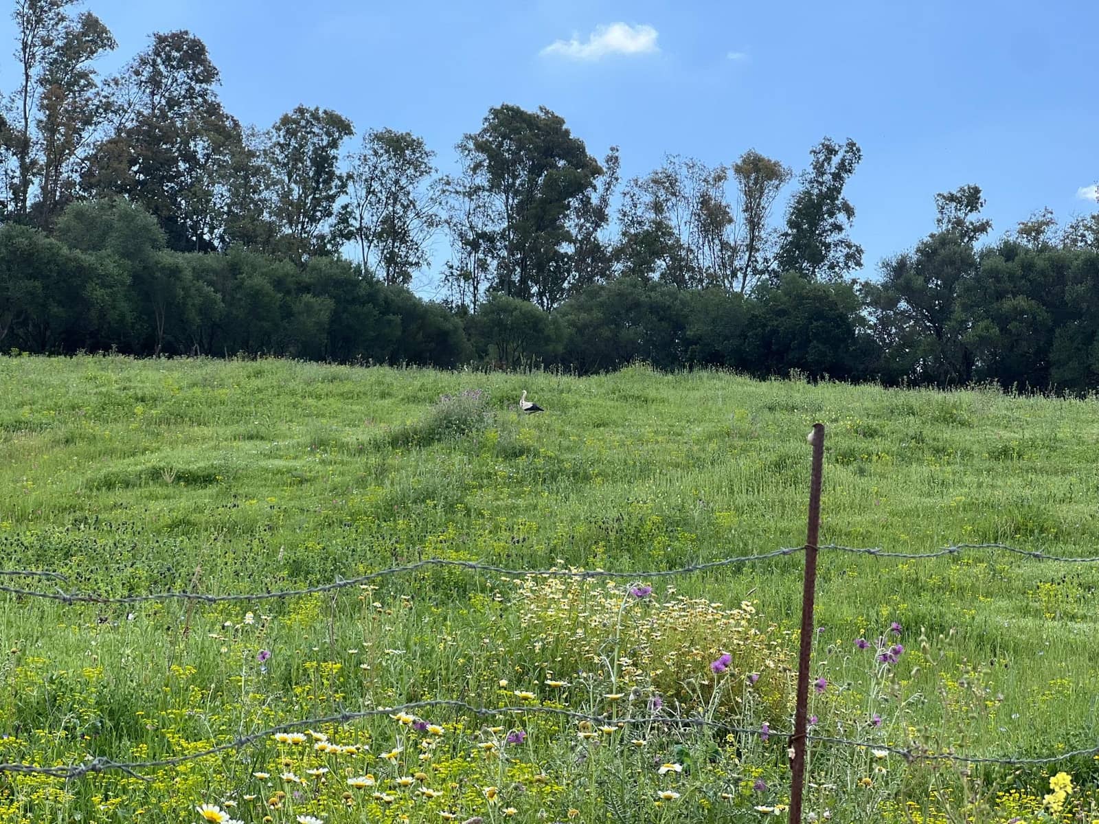 3 makuuhuone Maalaistalo myytävänä paikassa Jimena de la Frontera - 480 000 € (Ref: 8460585)