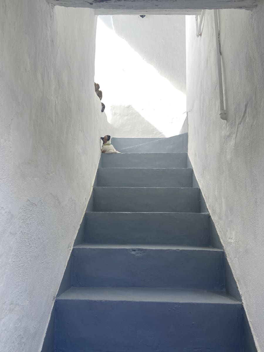 5 camera da letto Finca/Casa di Campagna in vendita in Arcos de la Frontera - 398.000 € (Rif: 8845751)